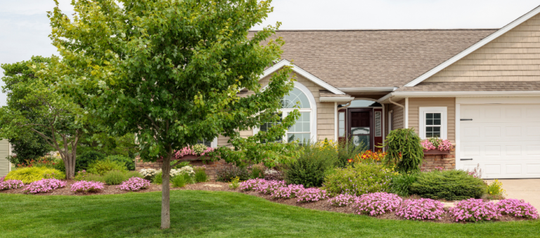 Bubblegum petunias in a house's landscape