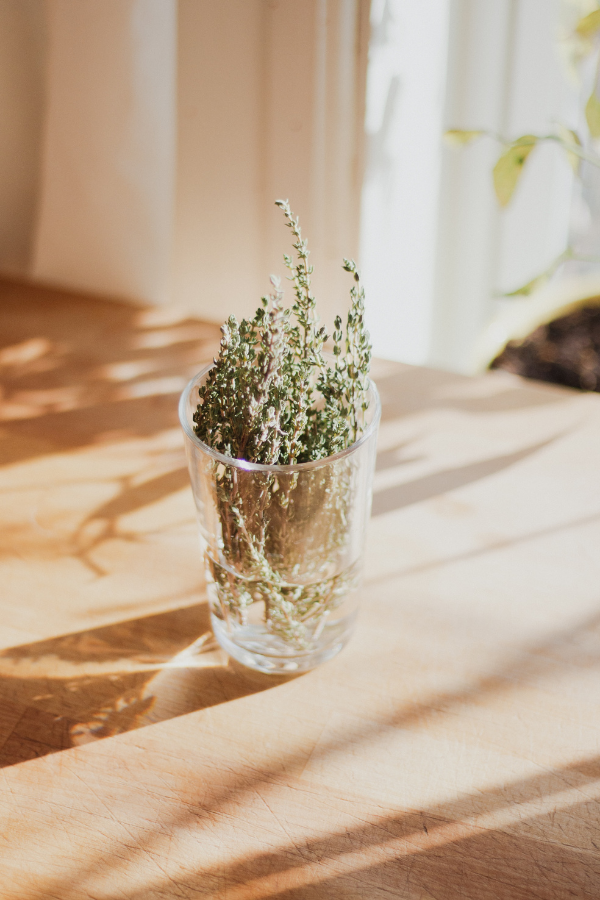 Cut Thyme in a Glass of Water